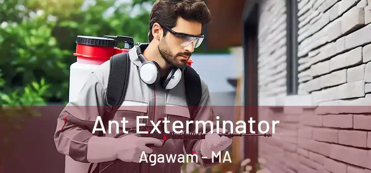  Ant Exterminator Agawam - MA