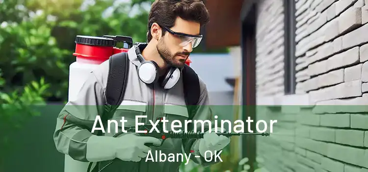  Ant Exterminator Albany - OK