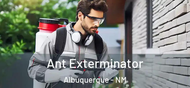  Ant Exterminator Albuquerque - NM