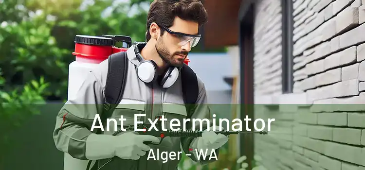  Ant Exterminator Alger - WA