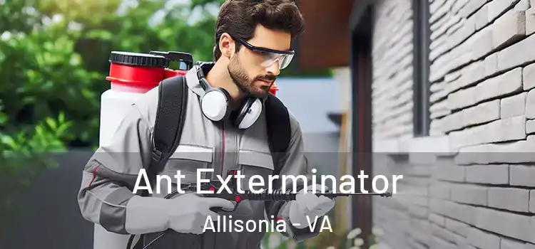 Ant Exterminator Allisonia - VA