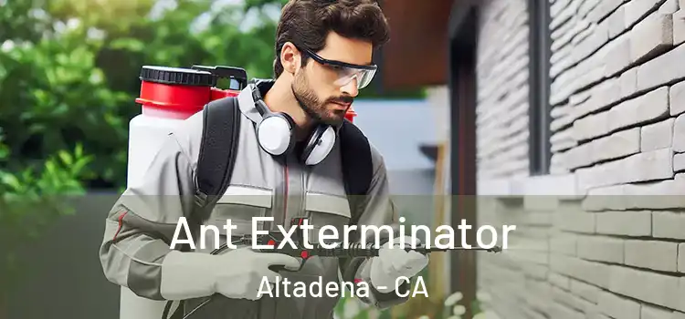 Ant Exterminator Altadena - CA