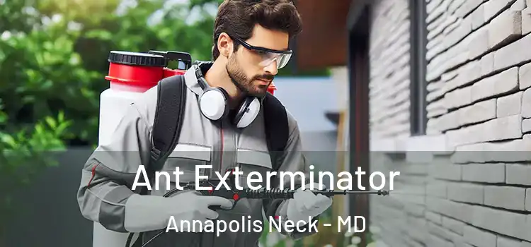  Ant Exterminator Annapolis Neck - MD
