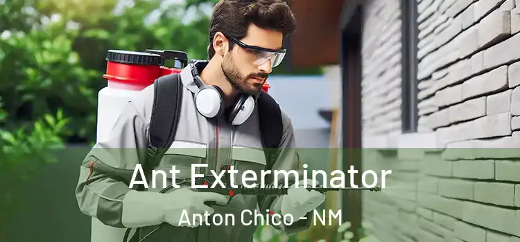 Ant Exterminator Anton Chico - NM