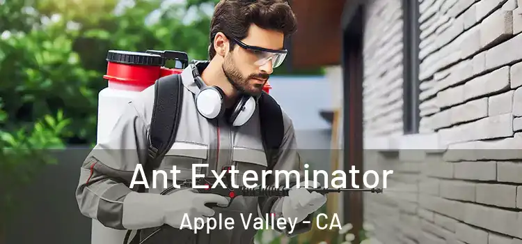 Ant Exterminator Apple Valley - CA