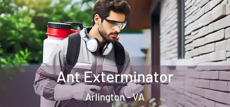 Ant Exterminator Arlington - VA
