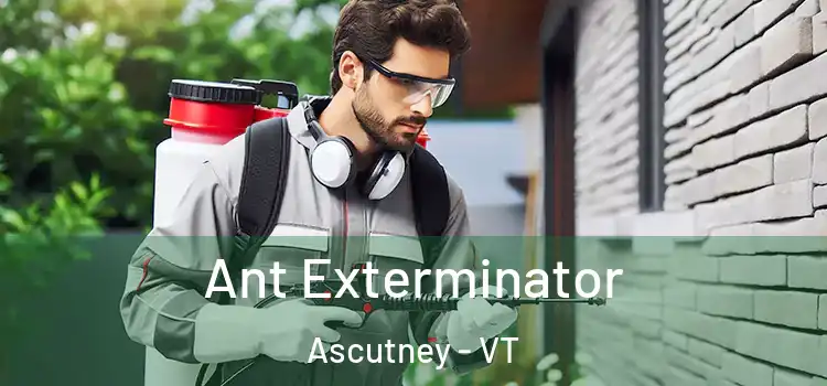  Ant Exterminator Ascutney - VT