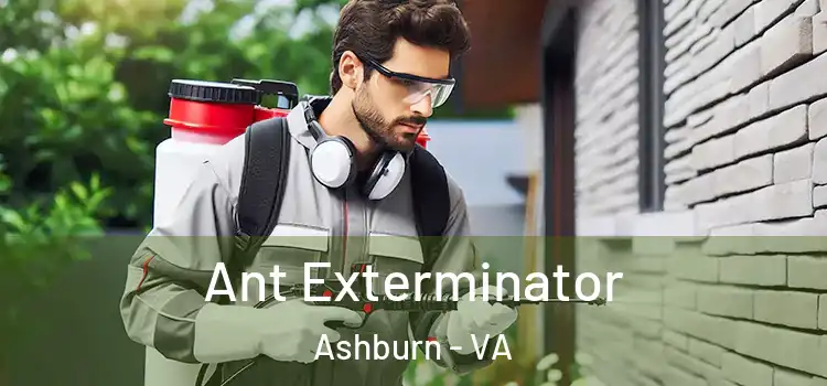 Ant Exterminator Ashburn - VA