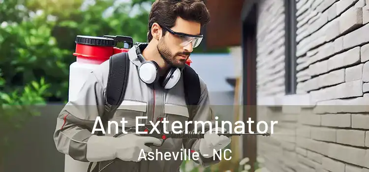 Ant Exterminator Asheville - NC
