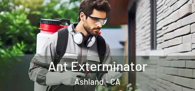 Ant Exterminator Ashland - CA