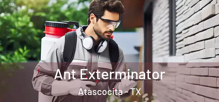 Ant Exterminator Atascocita - TX
