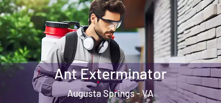 Ant Exterminator Augusta Springs - VA