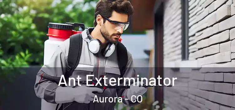 Ant Exterminator Aurora - CO