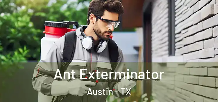 Ant Exterminator Austin - TX