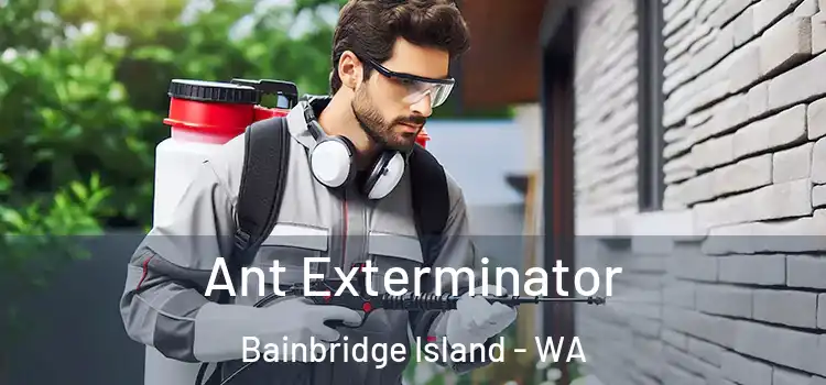  Ant Exterminator Bainbridge Island - WA