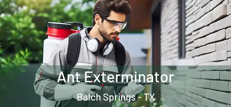 Ant Exterminator Balch Springs - TX