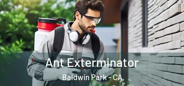 Ant Exterminator Baldwin Park - CA