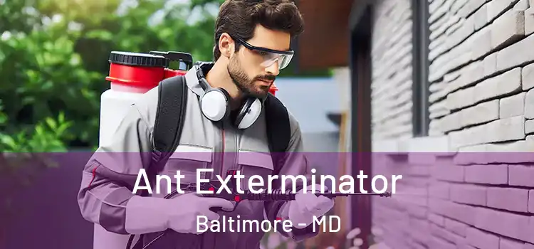  Ant Exterminator Baltimore - MD