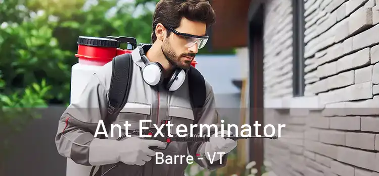  Ant Exterminator Barre - VT