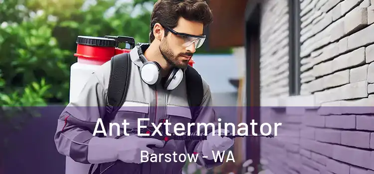  Ant Exterminator Barstow - WA