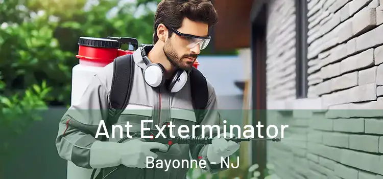 Ant Exterminator Bayonne - NJ