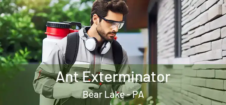  Ant Exterminator Bear Lake - PA