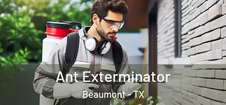 Ant Exterminator Beaumont - TX