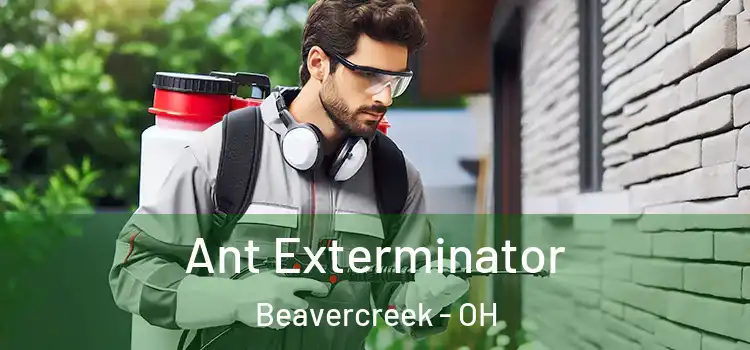  Ant Exterminator Beavercreek - OH