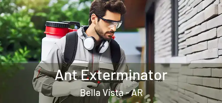  Ant Exterminator Bella Vista - AR