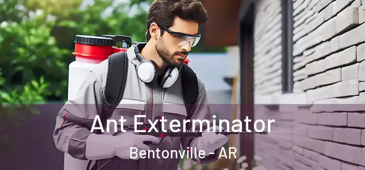  Ant Exterminator Bentonville - AR
