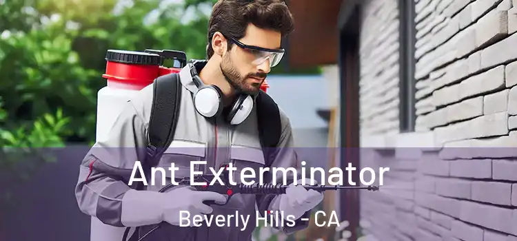  Ant Exterminator Beverly Hills - CA
