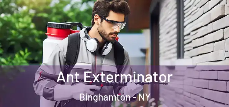 Ant Exterminator Binghamton - NY
