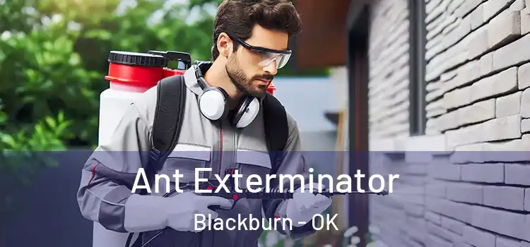  Ant Exterminator Blackburn - OK