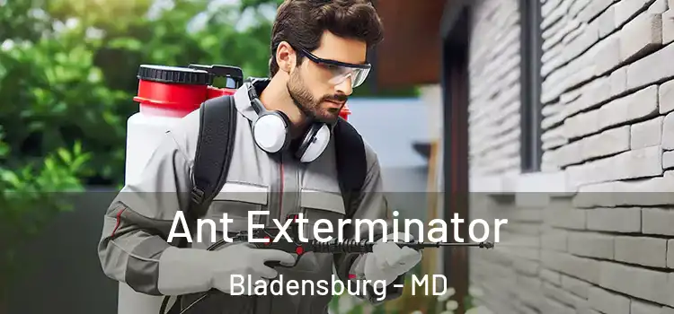  Ant Exterminator Bladensburg - MD