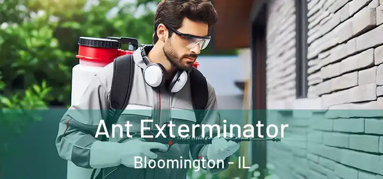  Ant Exterminator Bloomington - IL