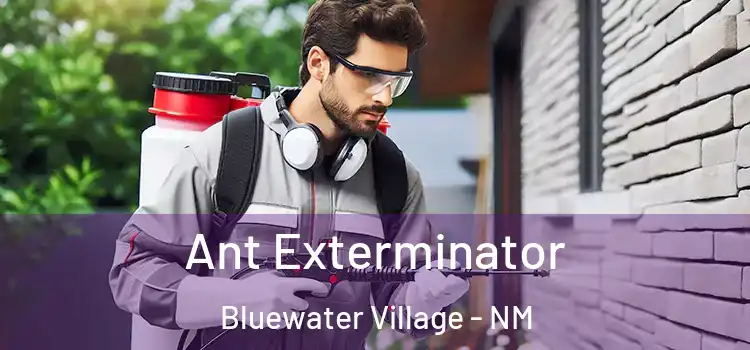 Ant Exterminator Bluewater Village - NM