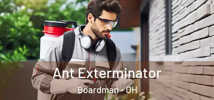 Ant Exterminator Boardman - OH