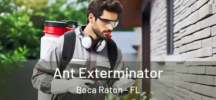Ant Exterminator Boca Raton - FL