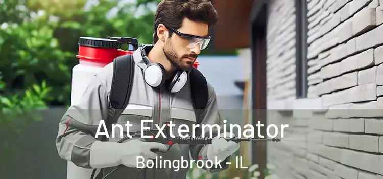 Ant Exterminator Bolingbrook - IL