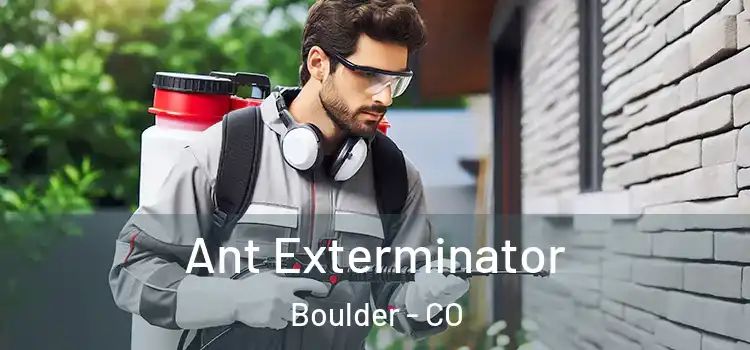 Ant Exterminator Boulder - CO