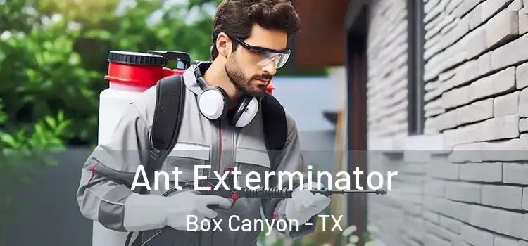  Ant Exterminator Box Canyon - TX