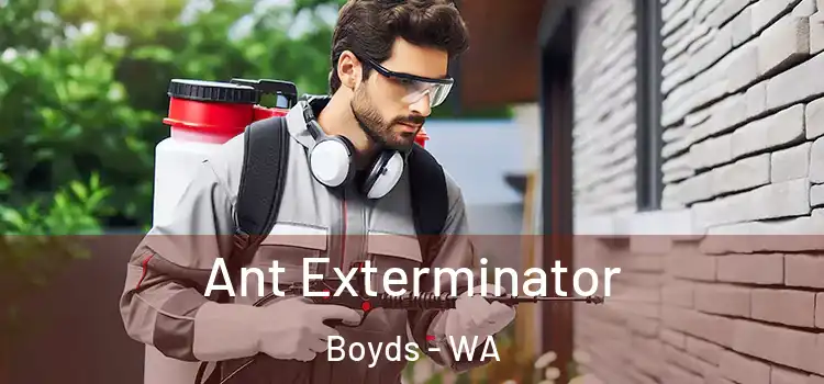  Ant Exterminator Boyds - WA