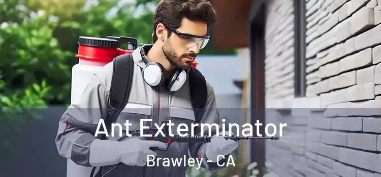  Ant Exterminator Brawley - CA