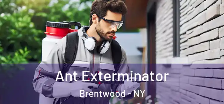  Ant Exterminator Brentwood - NY