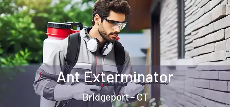  Ant Exterminator Bridgeport - CT