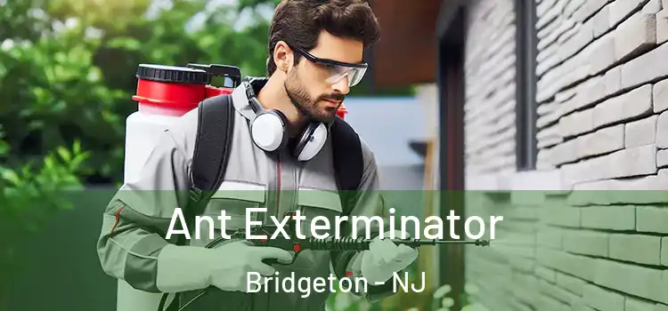  Ant Exterminator Bridgeton - NJ