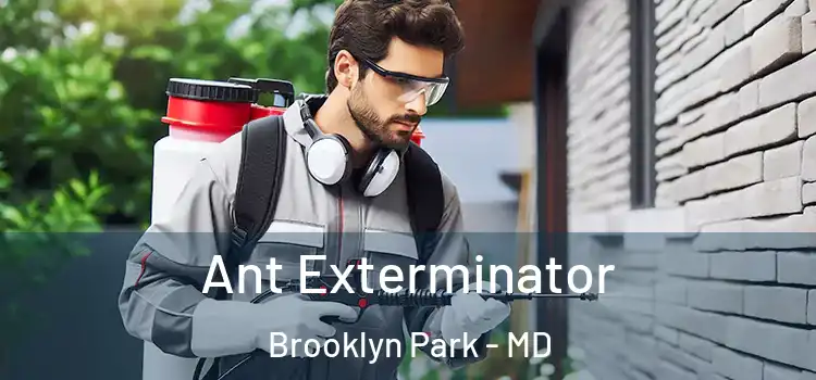 Ant Exterminator Brooklyn Park - MD