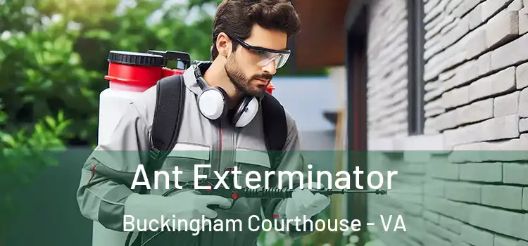 Ant Exterminator Buckingham Courthouse - VA
