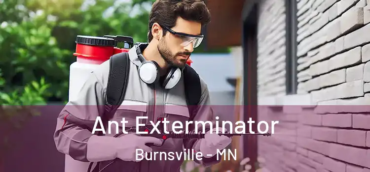  Ant Exterminator Burnsville - MN