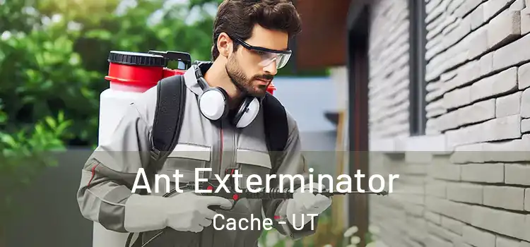  Ant Exterminator Cache - UT